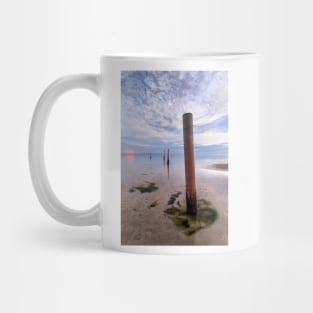 Poles Mug